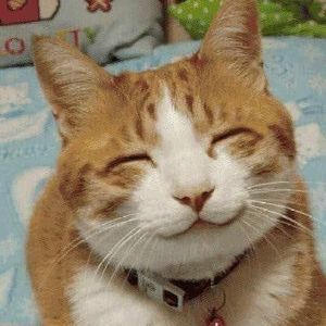 Meet your Posher, Joan